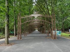 -东平国家森林公园