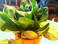 菠菜-虾满堂小龙虾烧烤(富荟广场店)