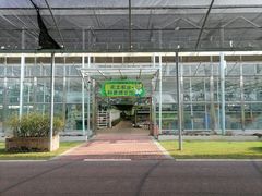 -迪茵湖田家舍生态农场