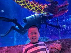 -沈阳海洋探索中心