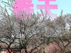 -无锡梅园公园