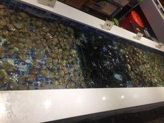 -台北A+A七喜饭店(德增街店)