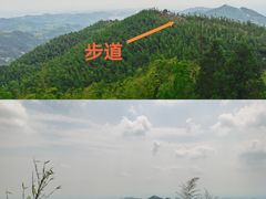 -长沙黑麋峰国家森林公园