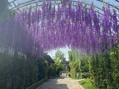 -茅山东方盐湖城景区