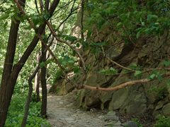 -大岭沟猕猴桃谷风景区