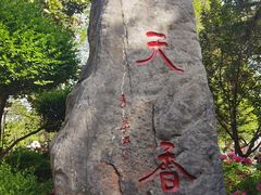 -洛阳市牡丹公园