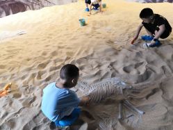 -恐龙探索乐园(磁器口店)