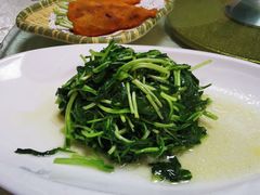 -丁老爷子苏香圆