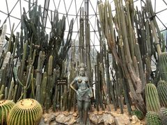 -深圳仙湖植物园