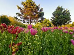 -长春公园(普阳街道)