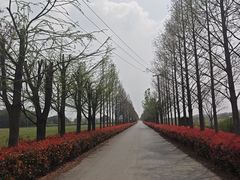 -嘉北郊野公园