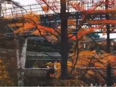 -梅峰山地公园