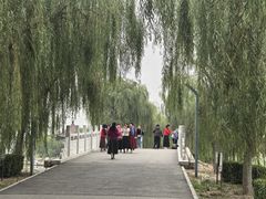 -天津东丽湖风景区