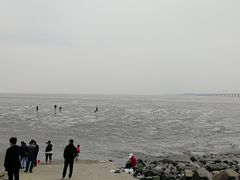 -南汇嘴观海公园