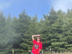 -白草畔自然风景区