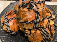 -上海新发展亚太JW万豪酒店