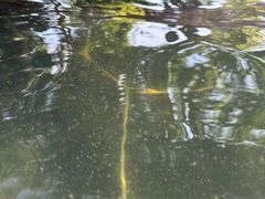 -七彩云南古滇温泉山庄