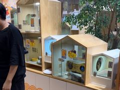 -屋虎猫馆(宝安大仟里店)