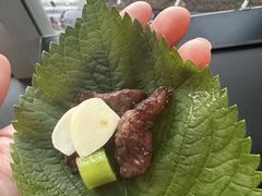 生菜拼盘-黑牛の店·黑金店(沈阳万象城店)