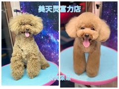 -FAELING PETS美天灵宠物(富力广场店)