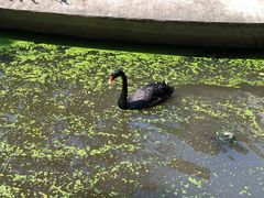 -荆州中山公园动物园