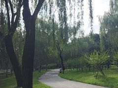 -元大都城垣遗址公园
