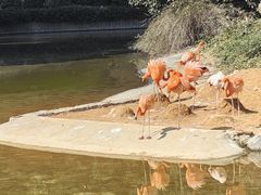 -常州淹城野生动物世界