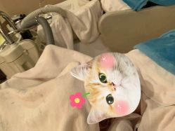 -丝域养发馆