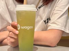 -Wagas沃歌斯(汇智店)