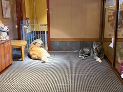 -大江户·温泉洗浴(浑南店)