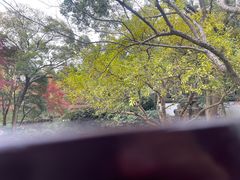 -秋霞圃