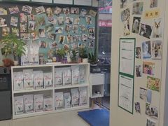 -爱妮康宠物医院·干细胞免疫细胞·肿瘤·心脏(张江店)