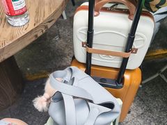 -小狗面馆(复兴店)