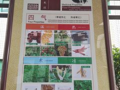 -广州神农草堂中医药博物馆
