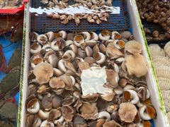 -南沙十九涌渔人码头-南门