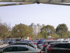 -上海中医药大学附属曙光医院(东部)