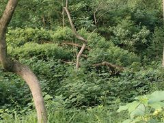 -青龙山国家森林公园