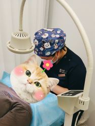 -和颜一美轻医美连锁