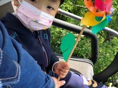 -富斯特索道