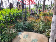 -合肥滨湖国家森林公园