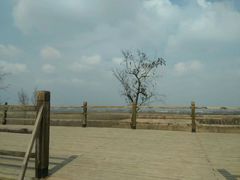 -汉长安城未央宫国家考古遗址公园