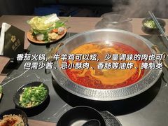 -The Habit Burger Grill 哈比特汉堡(世博店)