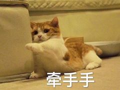 -海底捞火锅(群光广场店)