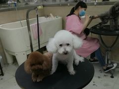 -多卡布奇宠物生活馆(上林世家店)