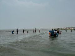 -日照海滨国家森林公园