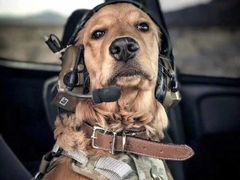 -7天酒店(上海江宁路地铁站玉佛寺店)