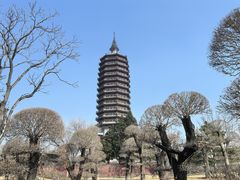 -西海子公园