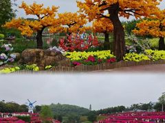-三门海