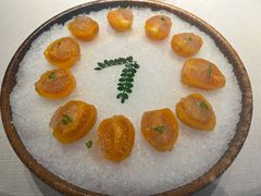 雪燕树番茄-三利音·东方司宴(外滩店)