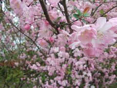 -九里河湿地公园